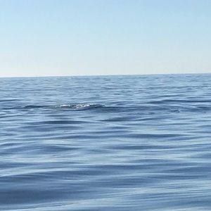 Meet your Posher, Daniela